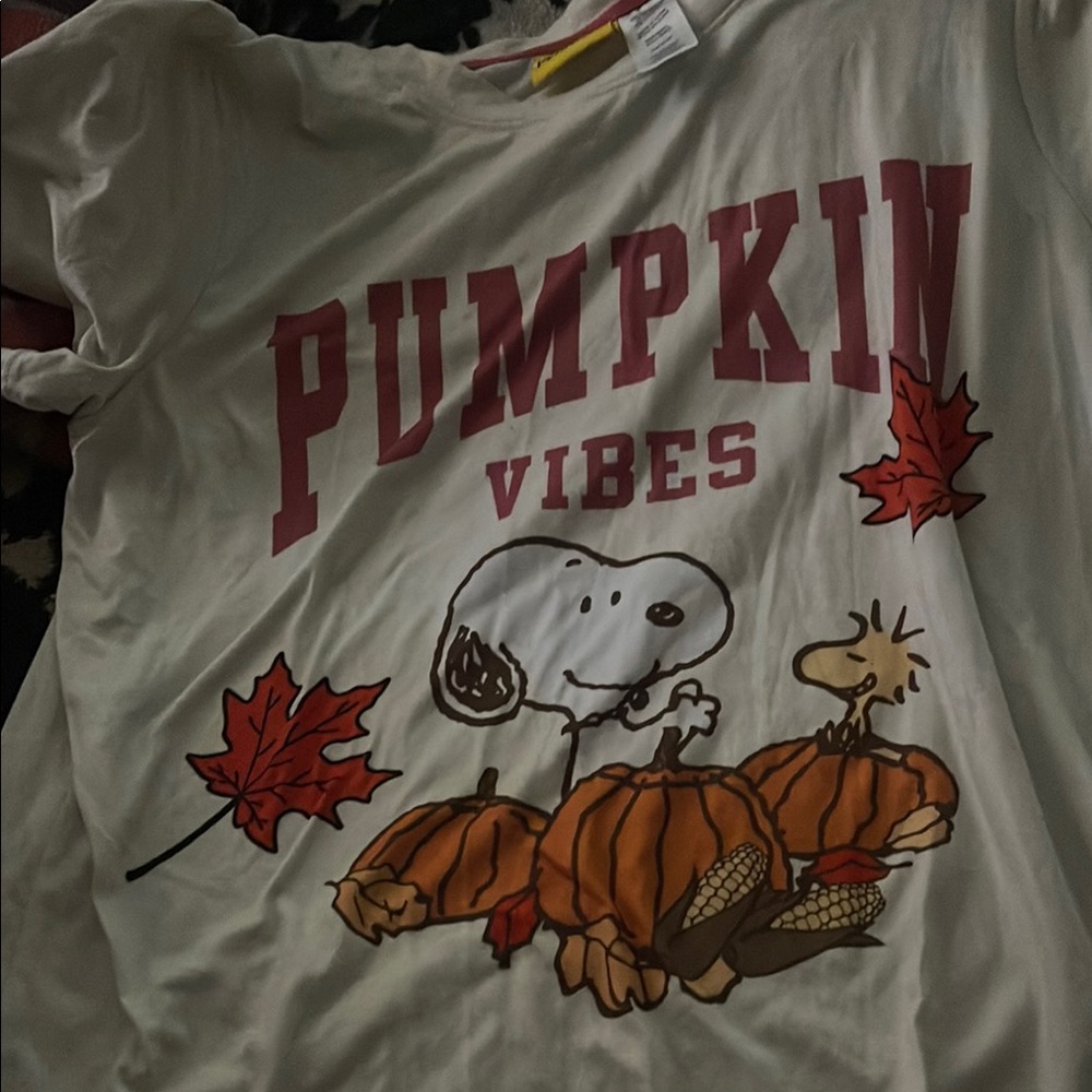 Peanuts Pumpkin Vibes Graphic Tee - Cream, Red, Orange